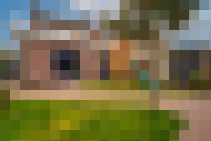 Kerkeveldstraat 22 Didam thumbnail 43
