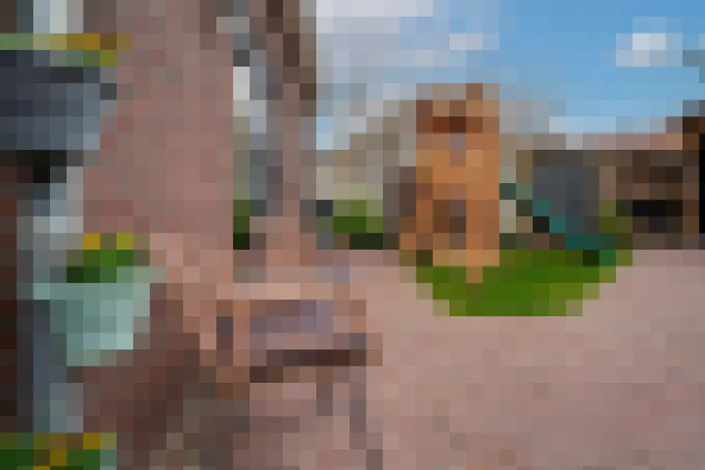 Kerkeveldstraat 22 Didam thumbnail 45
