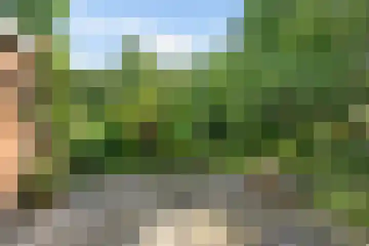 Kerkewal 30 Gorredijk thumbnail 15