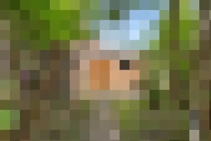Kerkewal 30 Gorredijk thumbnail 17