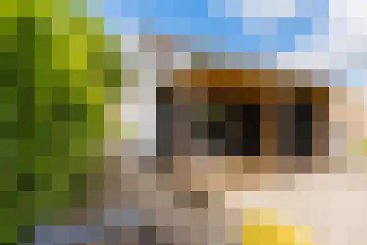 Kerkewal 9 A Gorredijk thumbnail 10