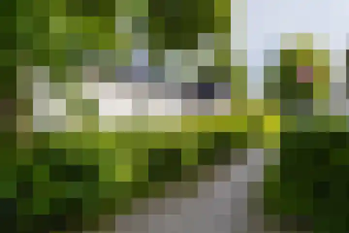 Kerkewal 9 A Gorredijk thumbnail 11