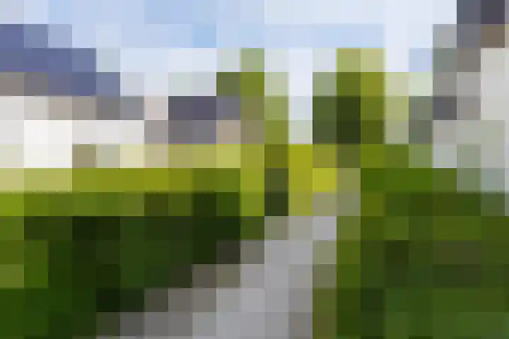 Kerkewal 9 A Gorredijk thumbnail 12