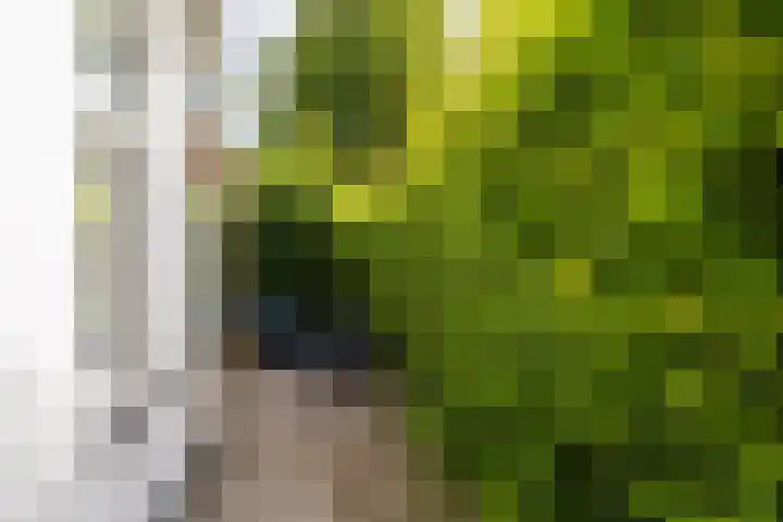Kerkewal 9 A Gorredijk thumbnail 14