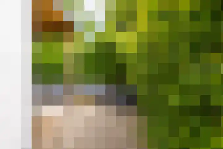 Kerkewal 9 A Gorredijk thumbnail 15