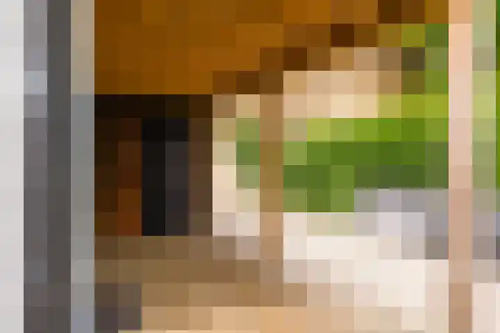 Kerkewal 9 A Gorredijk thumbnail 16