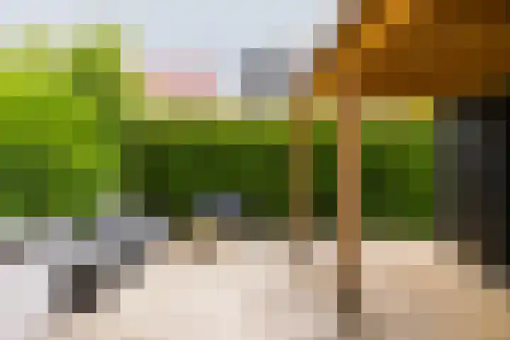 Kerkewal 9 A Gorredijk thumbnail 18