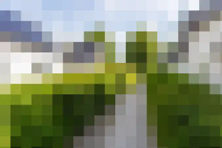 Kerkewal 9 A Gorredijk thumbnail 21