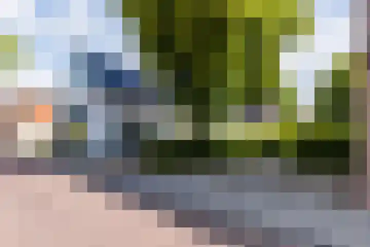 Kerkewal 9 A Gorredijk thumbnail 22