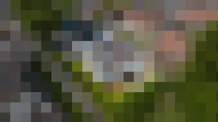 Kerkewal 9 A Gorredijk thumbnail 24