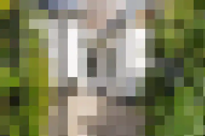 Kerkewal 9 A Gorredijk thumbnail 27