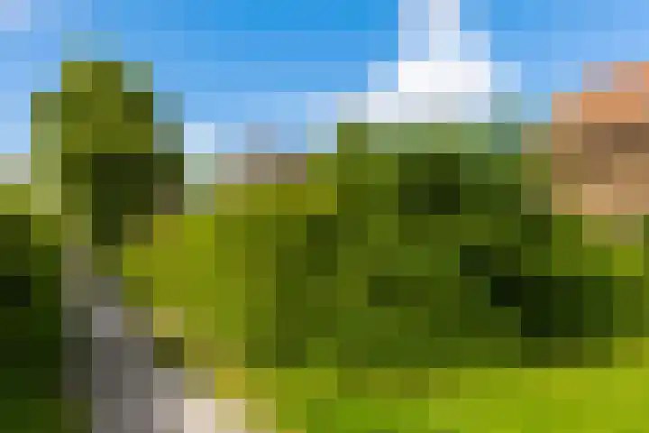 Kerkewal 9 A Gorredijk thumbnail 9