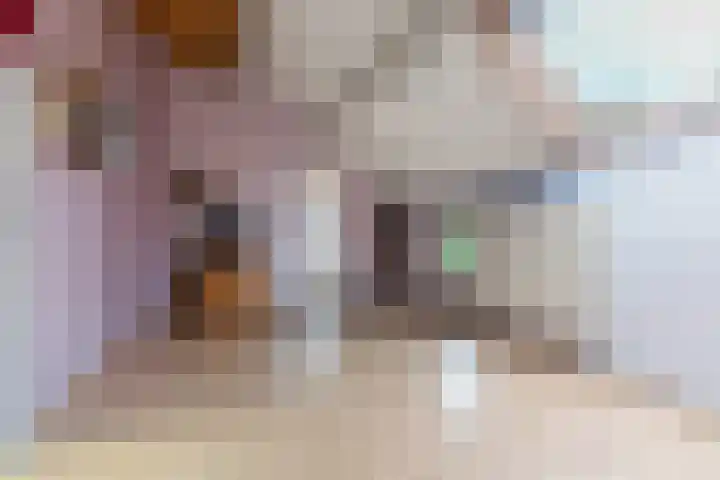 Kerkewei 34 Arnhem thumbnail 24