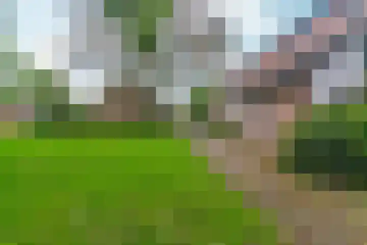 Kerkewei 34 Arnhem thumbnail 30