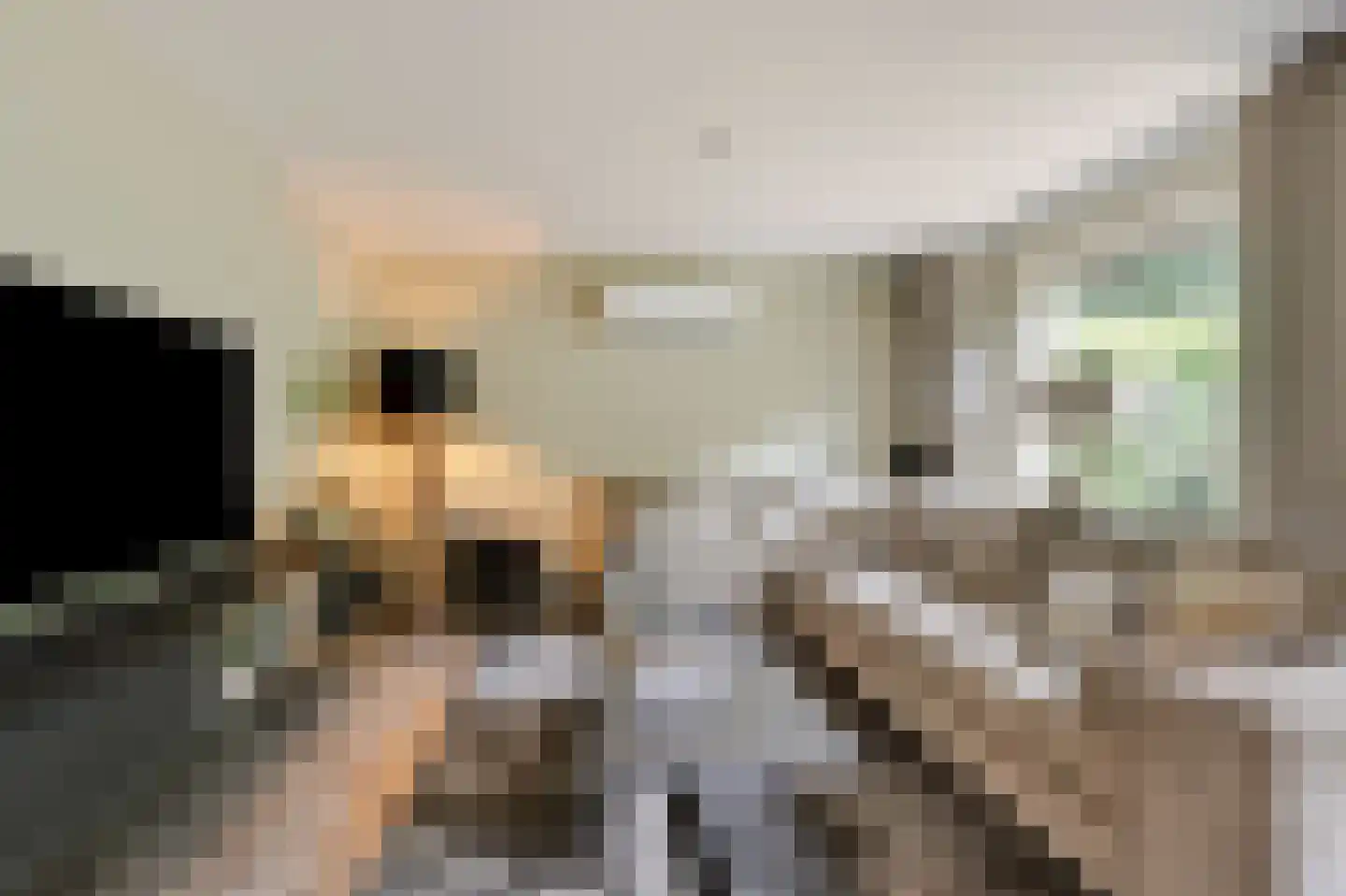 Kerkeweide 13 Duiven thumbnail 15