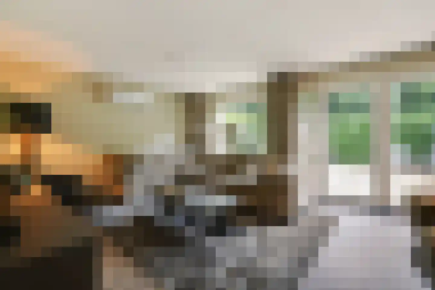 Kerkeweide 13 Duiven thumbnail 16