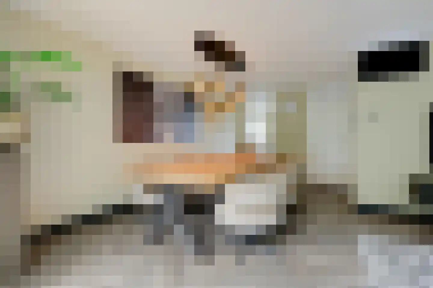 Kerkeweide 13 Duiven thumbnail 19