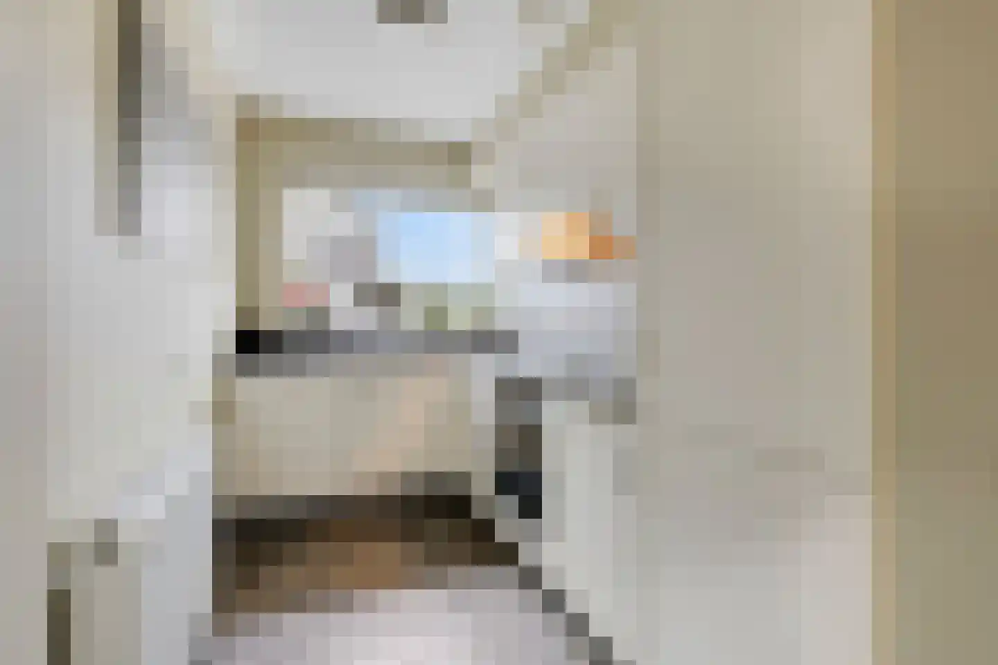 Kerkeweide 13 Duiven thumbnail 20