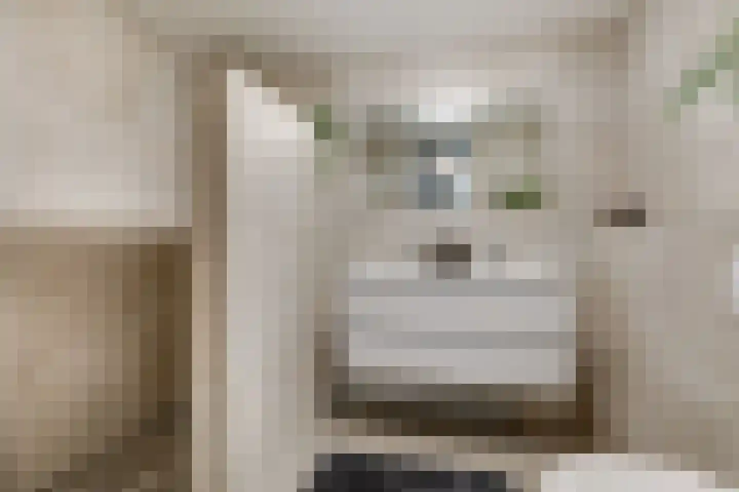 Kerkeweide 13 Duiven thumbnail 32