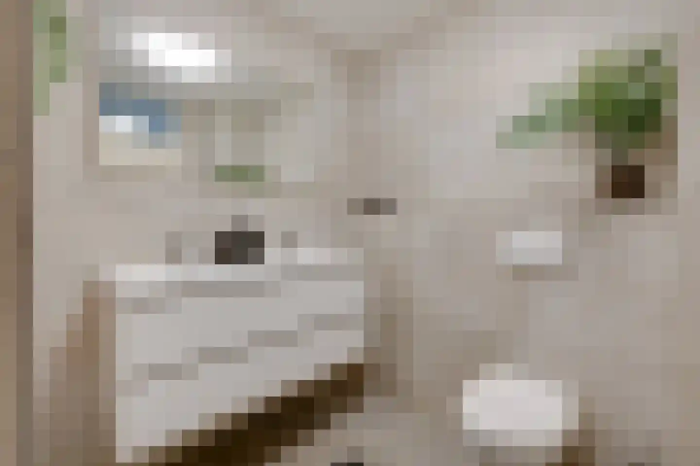 Kerkeweide 13 Duiven thumbnail 33