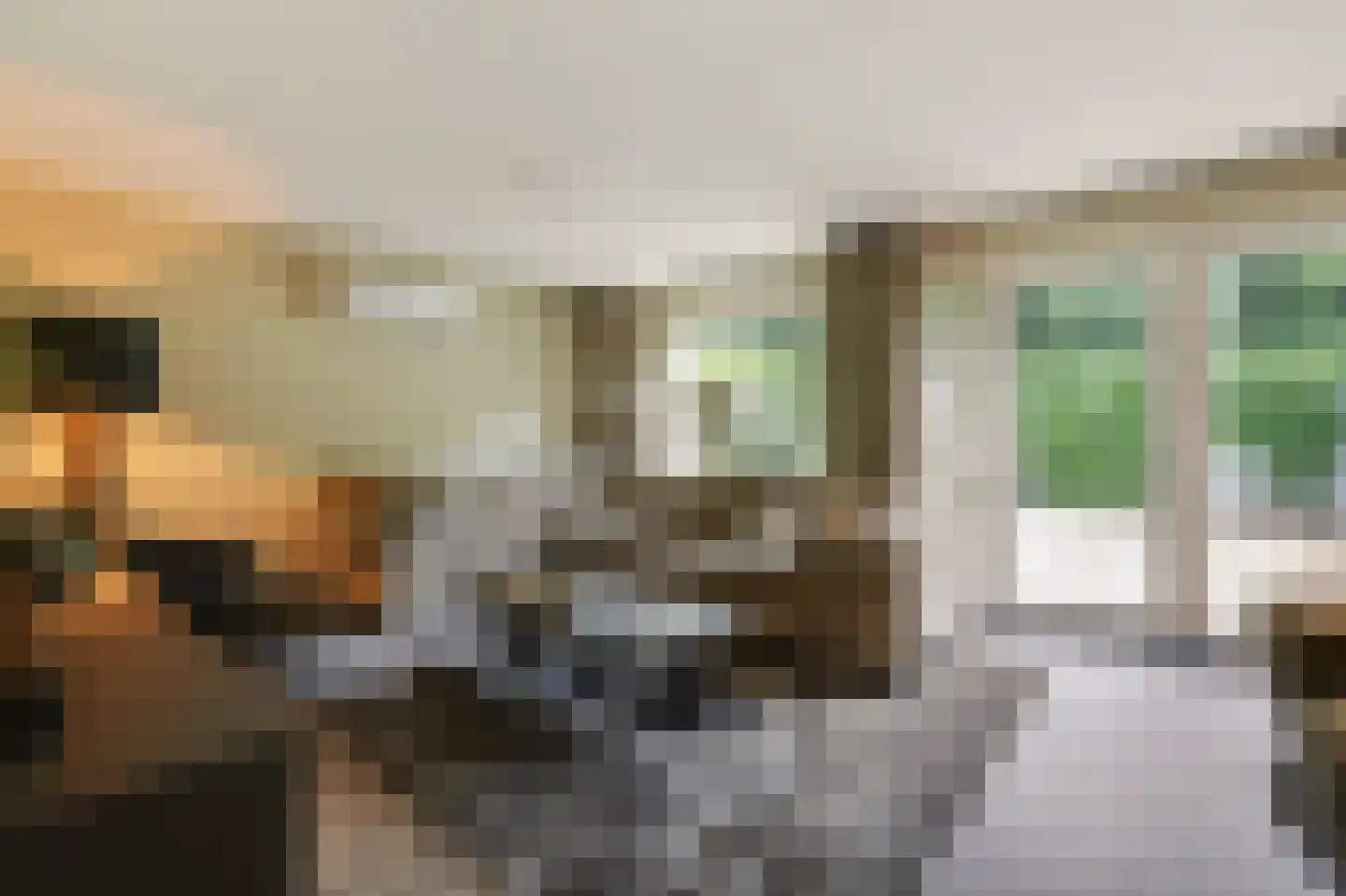 Kerkeweide 13 Duiven thumbnail 4