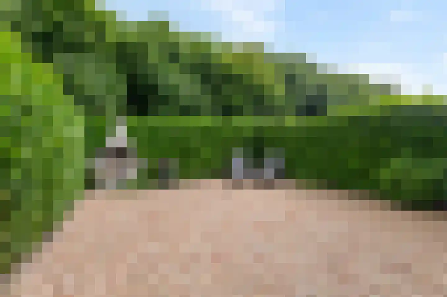 Kerkeweide 13 Duiven thumbnail 41