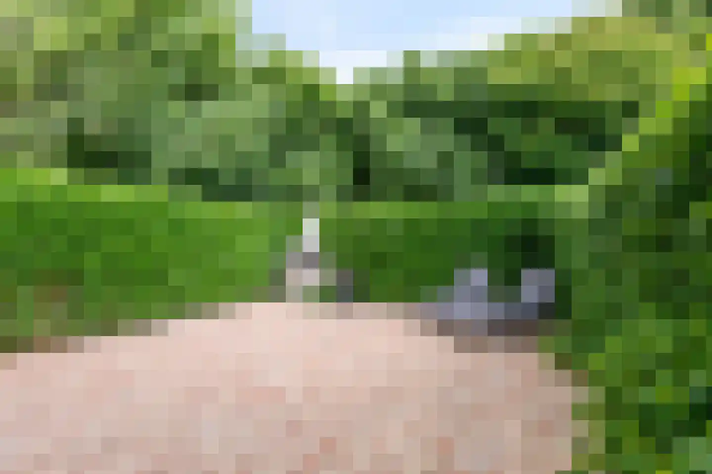 Kerkeweide 13 Duiven thumbnail 42