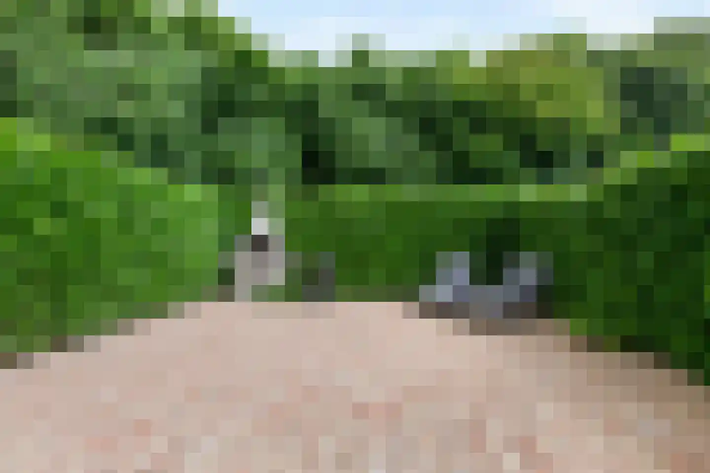 Kerkeweide 13 Duiven thumbnail 43