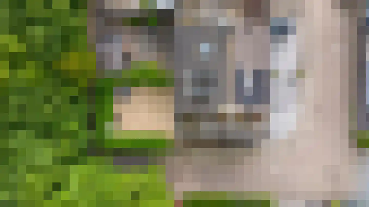 Kerkeweide 13 Duiven thumbnail 44
