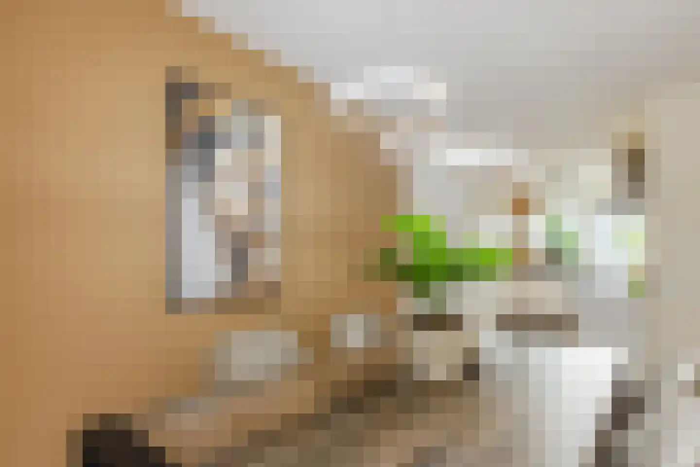 Kerkeweide 21 Duiven thumbnail 15