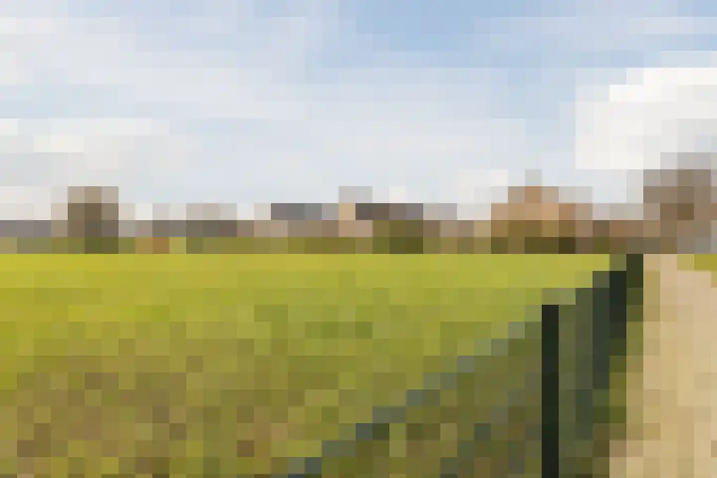 Kerkeweide 21 Duiven thumbnail 54
