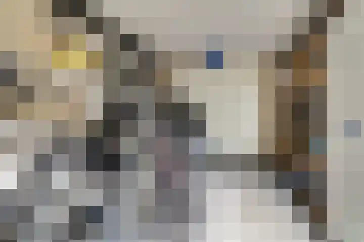 Kerkeweide 43 Duiven thumbnail 11