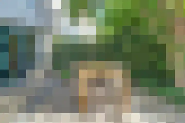 Kerkeweide 43 Duiven thumbnail 28