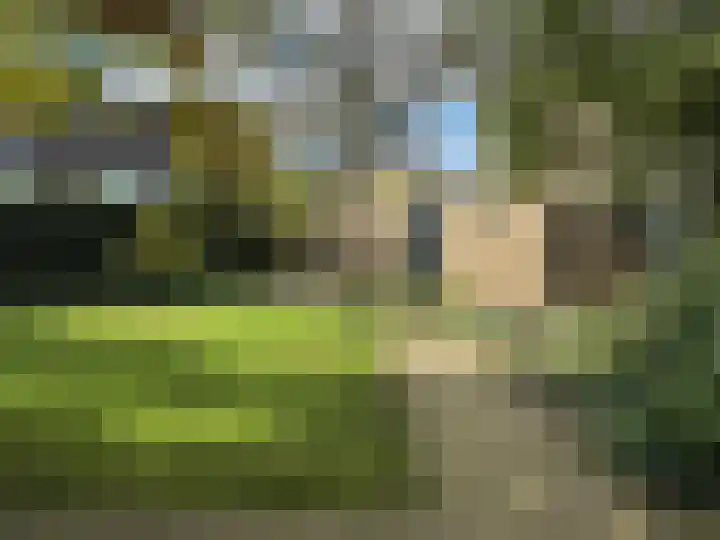 Kerkeweide 43 Duiven thumbnail 30