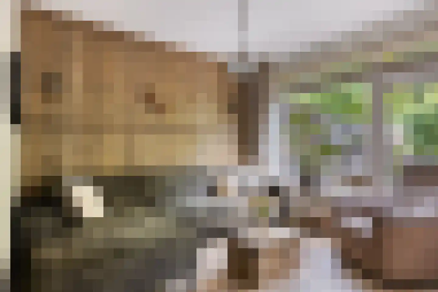 Kerkewijk 102 Veenendaal thumbnail 17