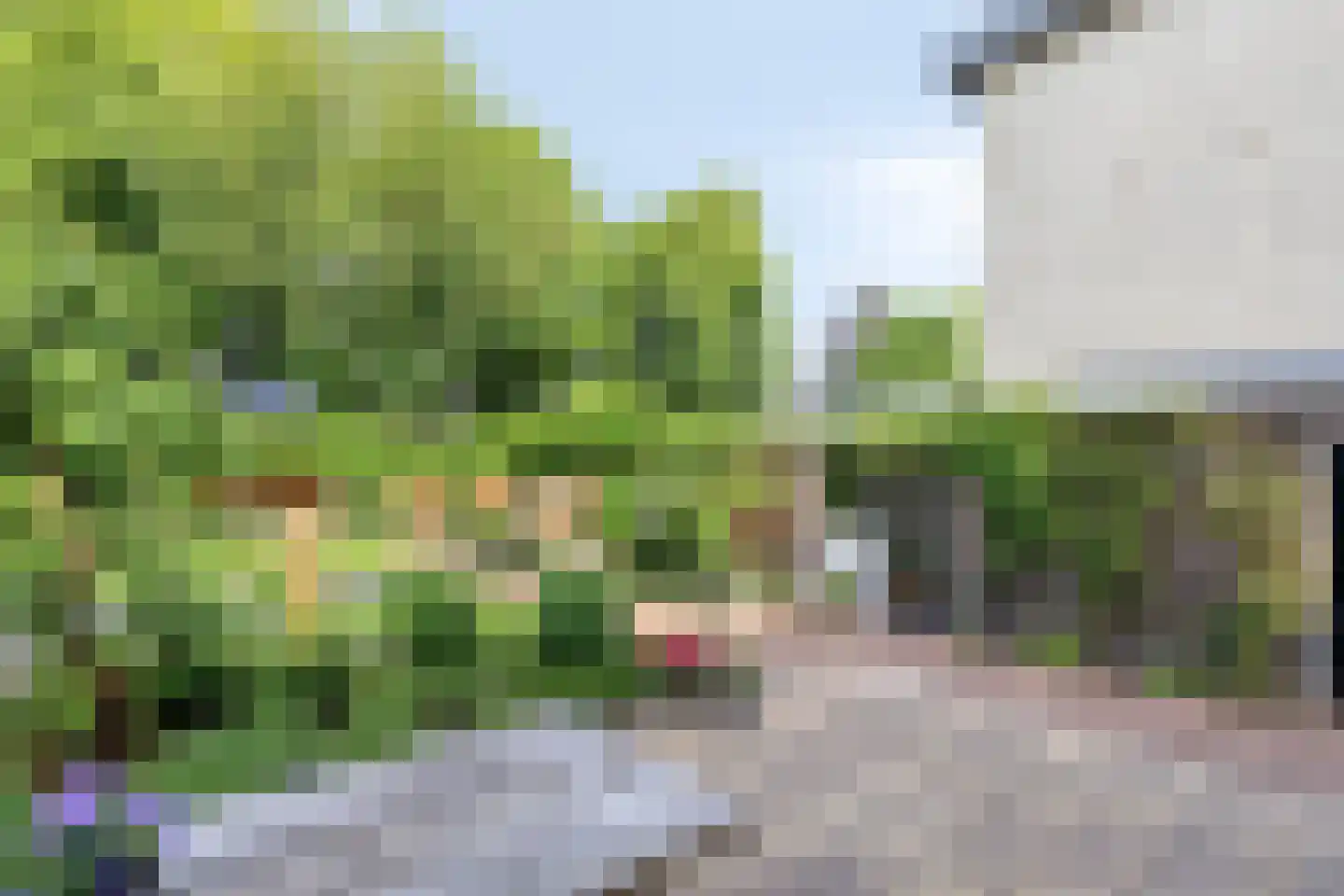 Kerkewijk 102 Veenendaal thumbnail 51