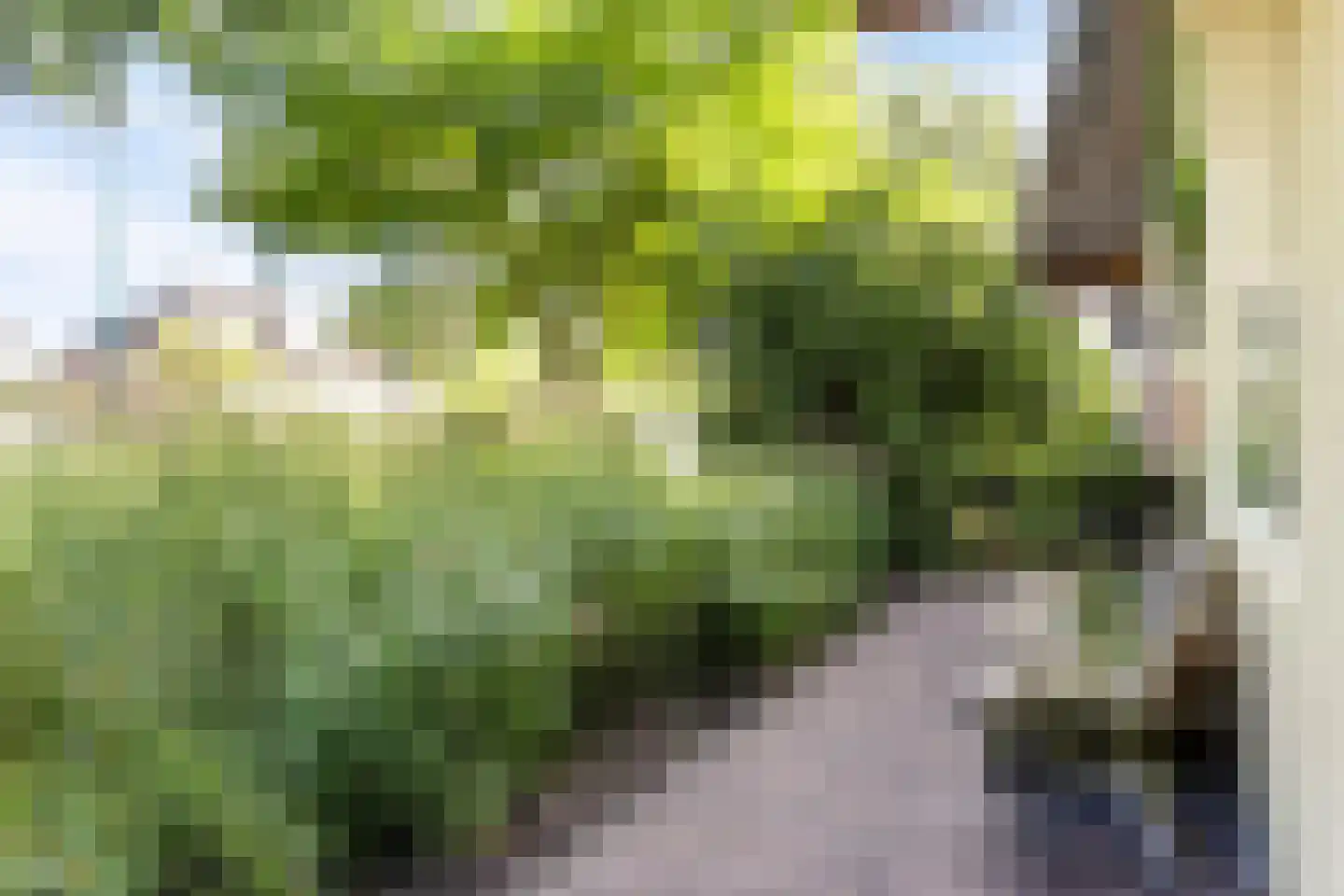 Kerkewijk 106 Veenendaal thumbnail 69