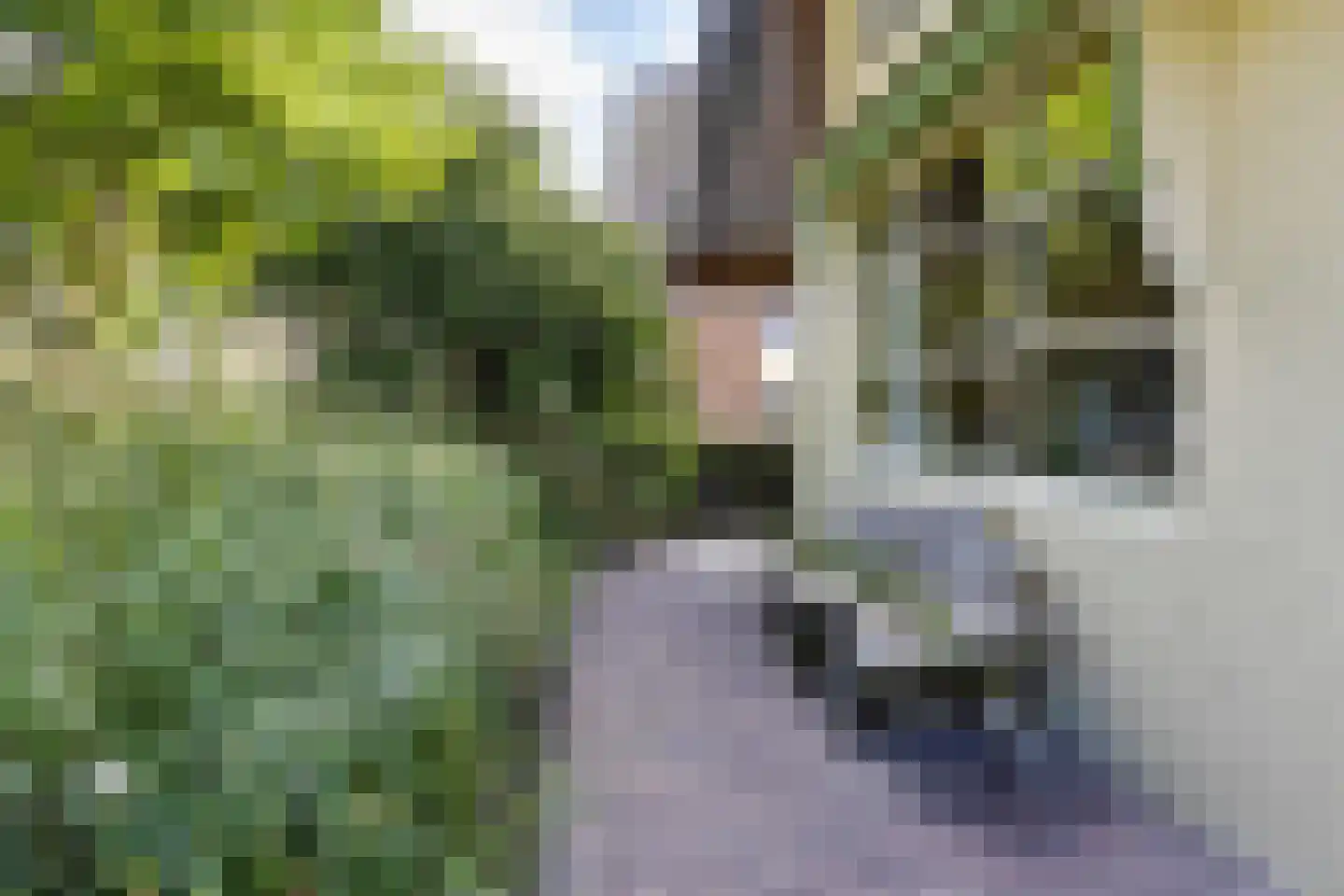 Kerkewijk 106 Veenendaal thumbnail 70