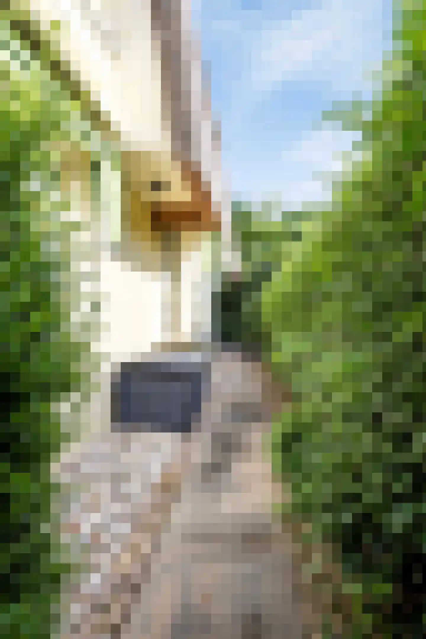 Kerkewijk 106 Veenendaal thumbnail 71