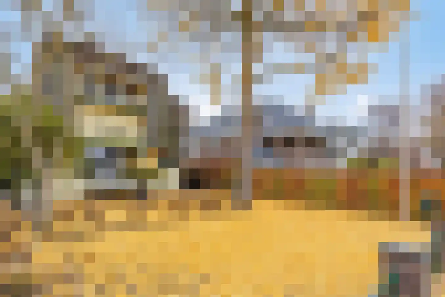Kerkewijk 106 Veenendaal thumbnail 79