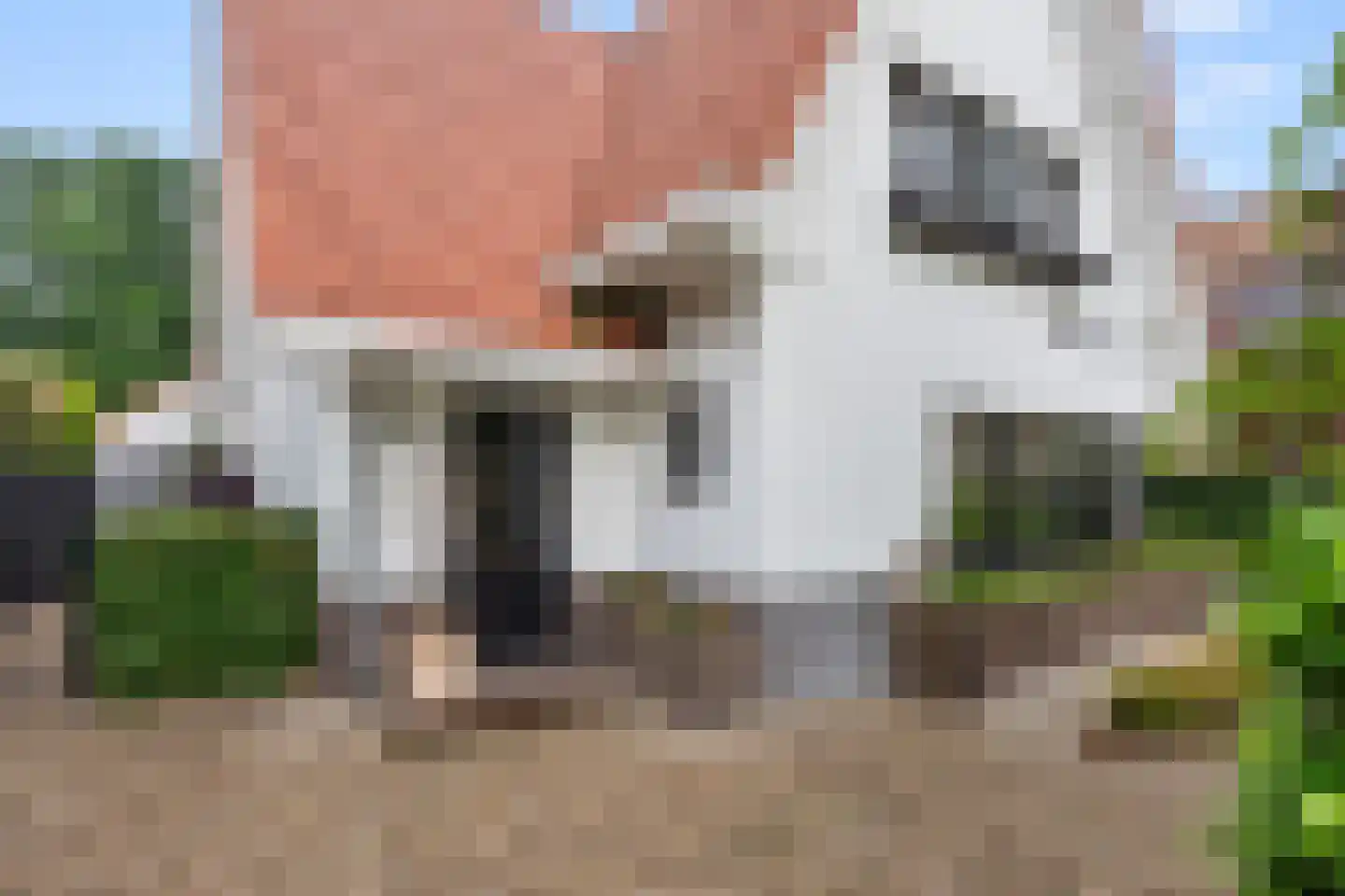 Kerkewijk 133 Veenendaal thumbnail 6