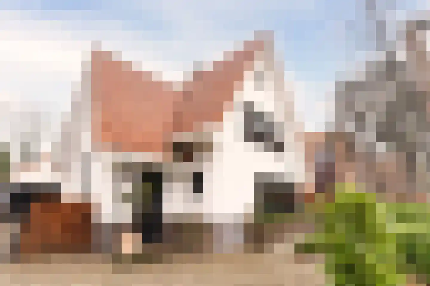 Kerkewijk 133 Veenendaal thumbnail 7