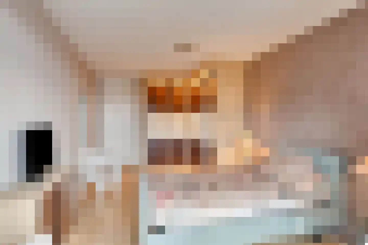 Kerkewijk 70 E Veenendaal thumbnail 30