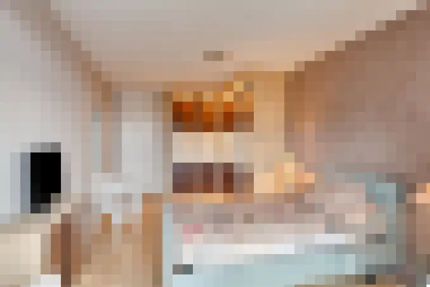 Kerkewijk 70 E Veenendaal thumbnail 30