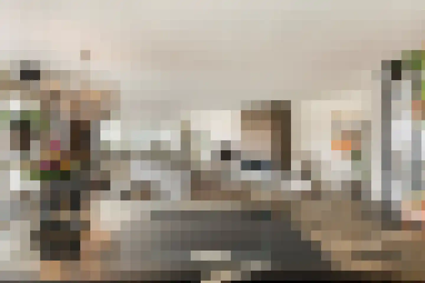 Kerkewijk 70 Veenendaal thumbnail 20