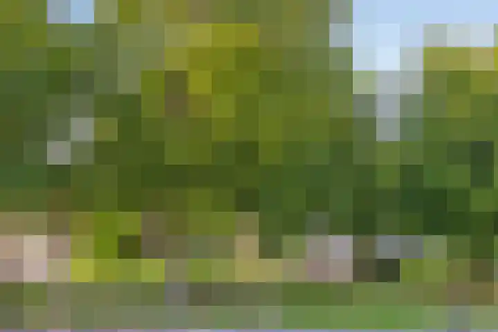 Kerkewijk 83 E Veenendaal thumbnail 18