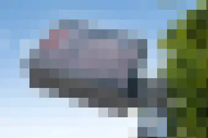 Kerkewijk 83 E Veenendaal thumbnail 26