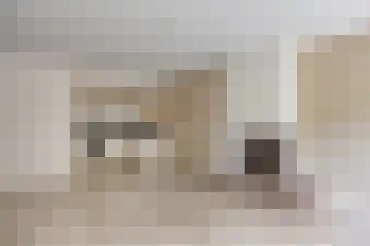 Kerkewijk 83 E Veenendaal thumbnail 9