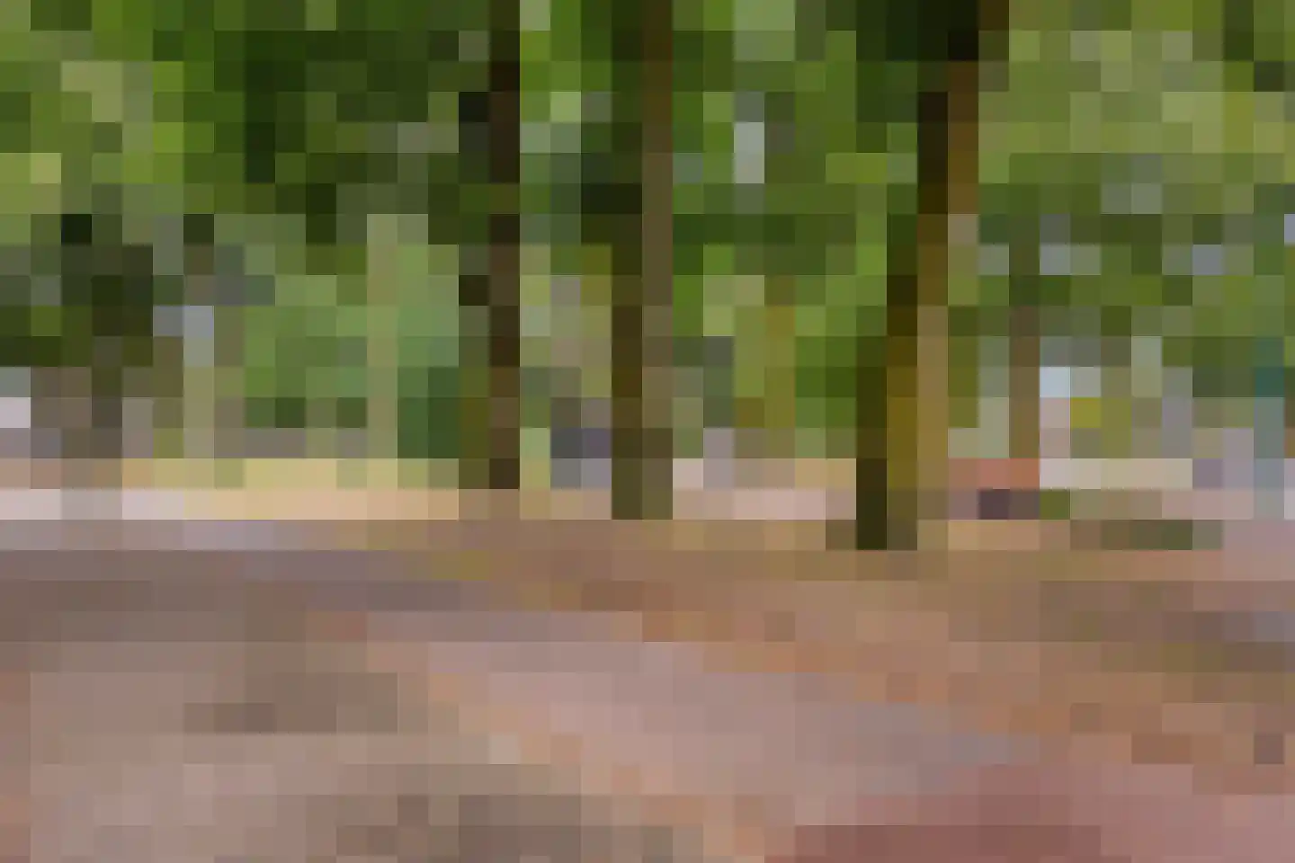 Kerkewijk 87 C Veenendaal thumbnail 48