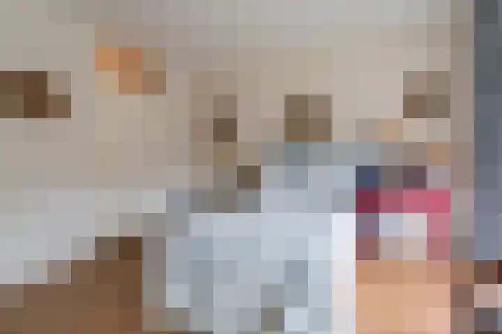 Kerkewijk 87 D Veenendaal thumbnail 21